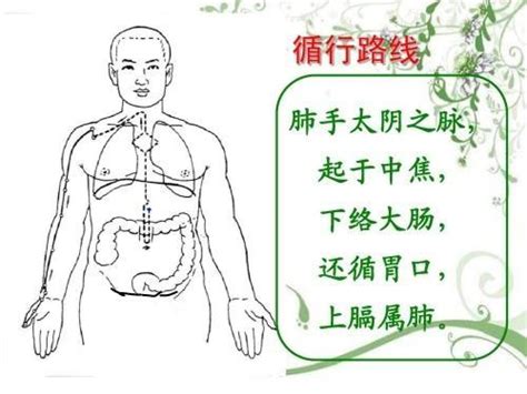 七沖門|賁門、幽門、闌門、魄門（七沖門）的意義與穴位的關係如何？